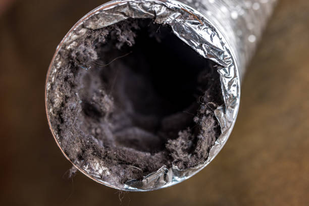 Best HVAC System Cleaning  in Oakdale, PA